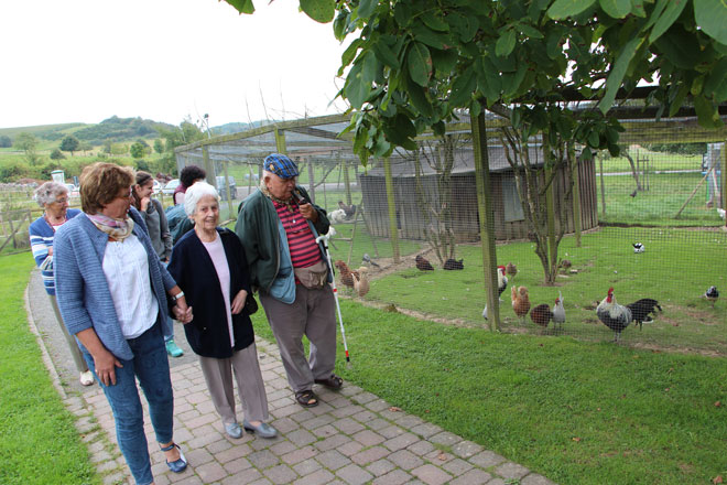 Ausflug zum Gefl&uuml;gelof